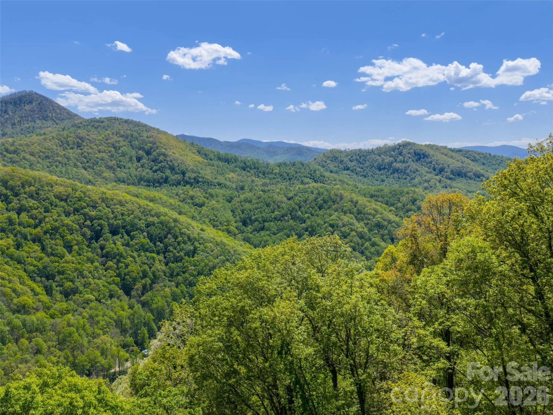 0000 Lovebird Lane #18 - Photo 15
