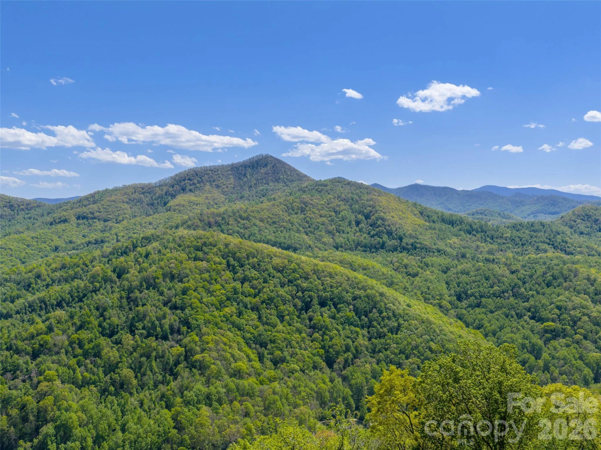 0000 Lovebird Lane #18 - Photo 18