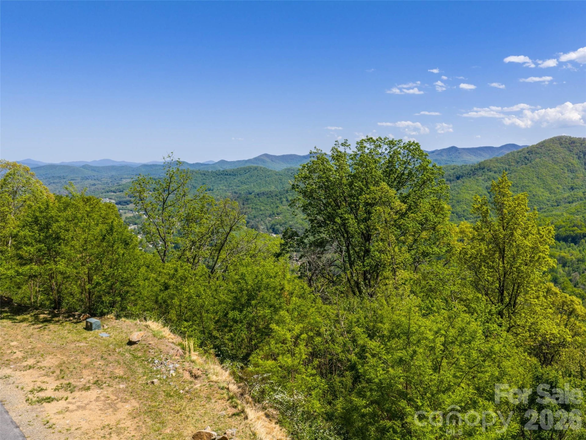0000 Lovebird Lane #18 - Photo 5