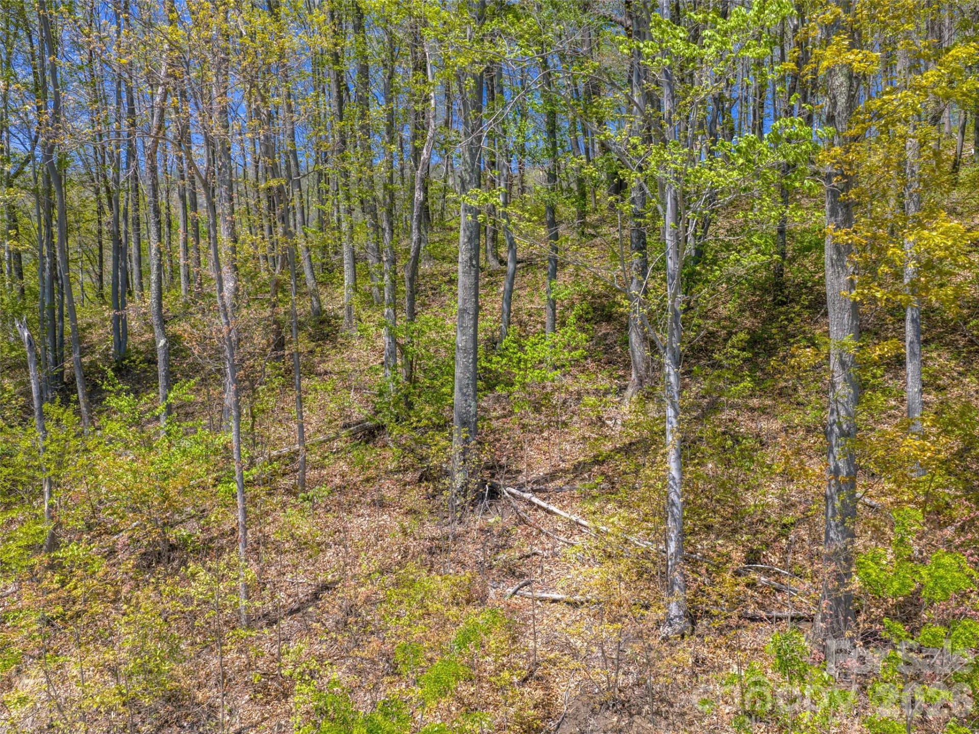 0000 Lovebird Lane #18 - Photo 9