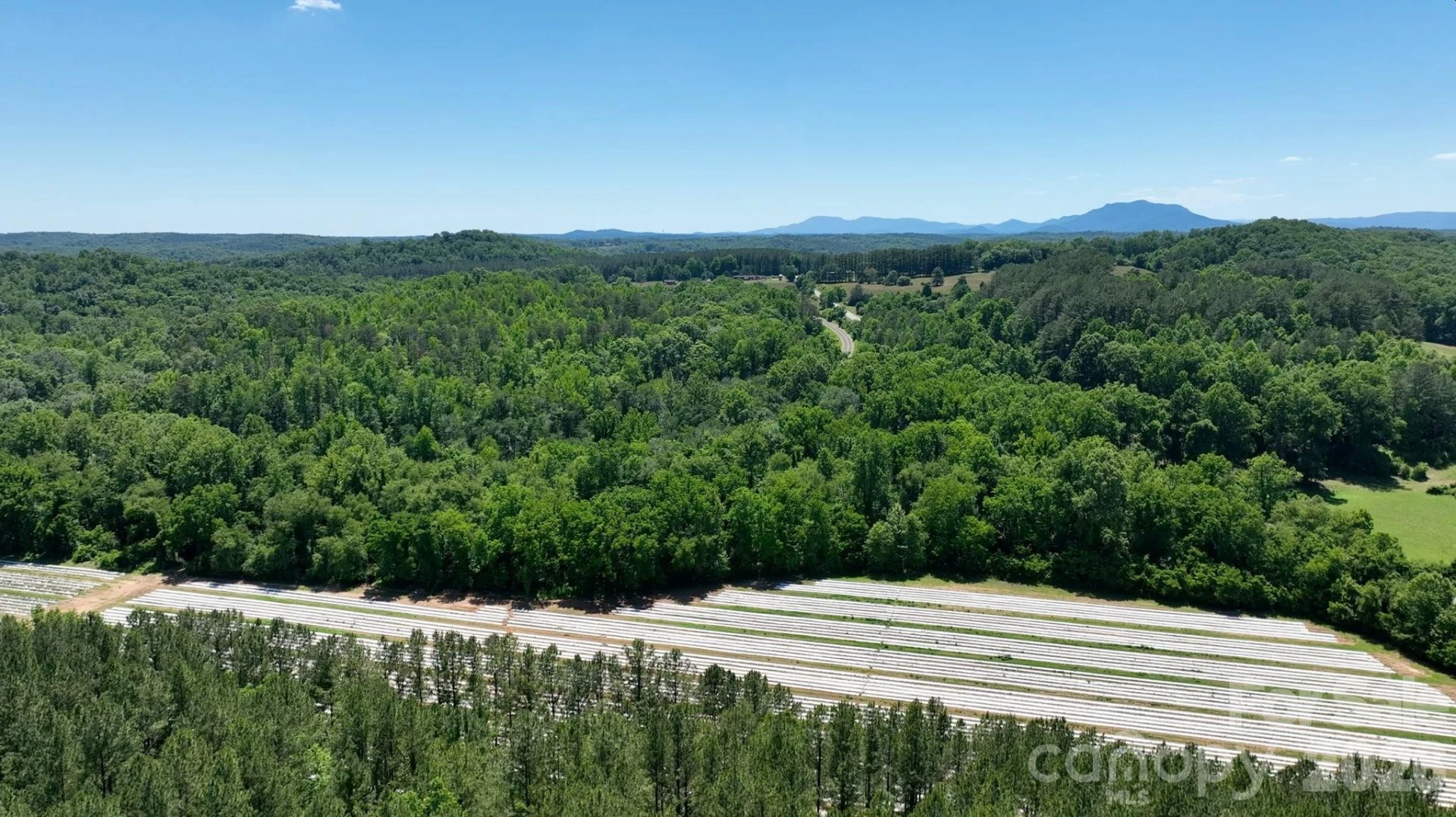99999 Tryon Road - Photo 16