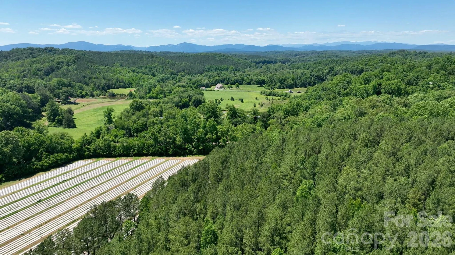 99999 Tryon Road - Photo 18