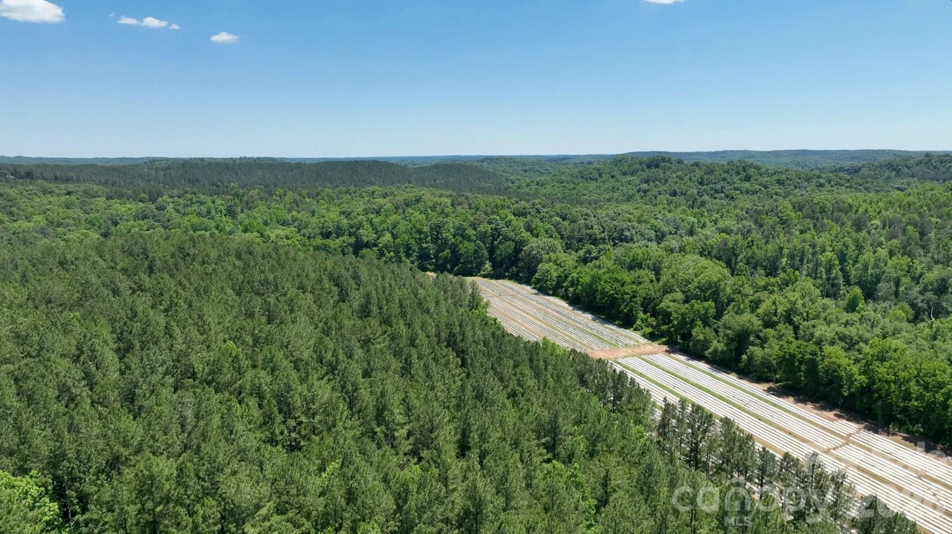 99999 Tryon Road - Photo 19