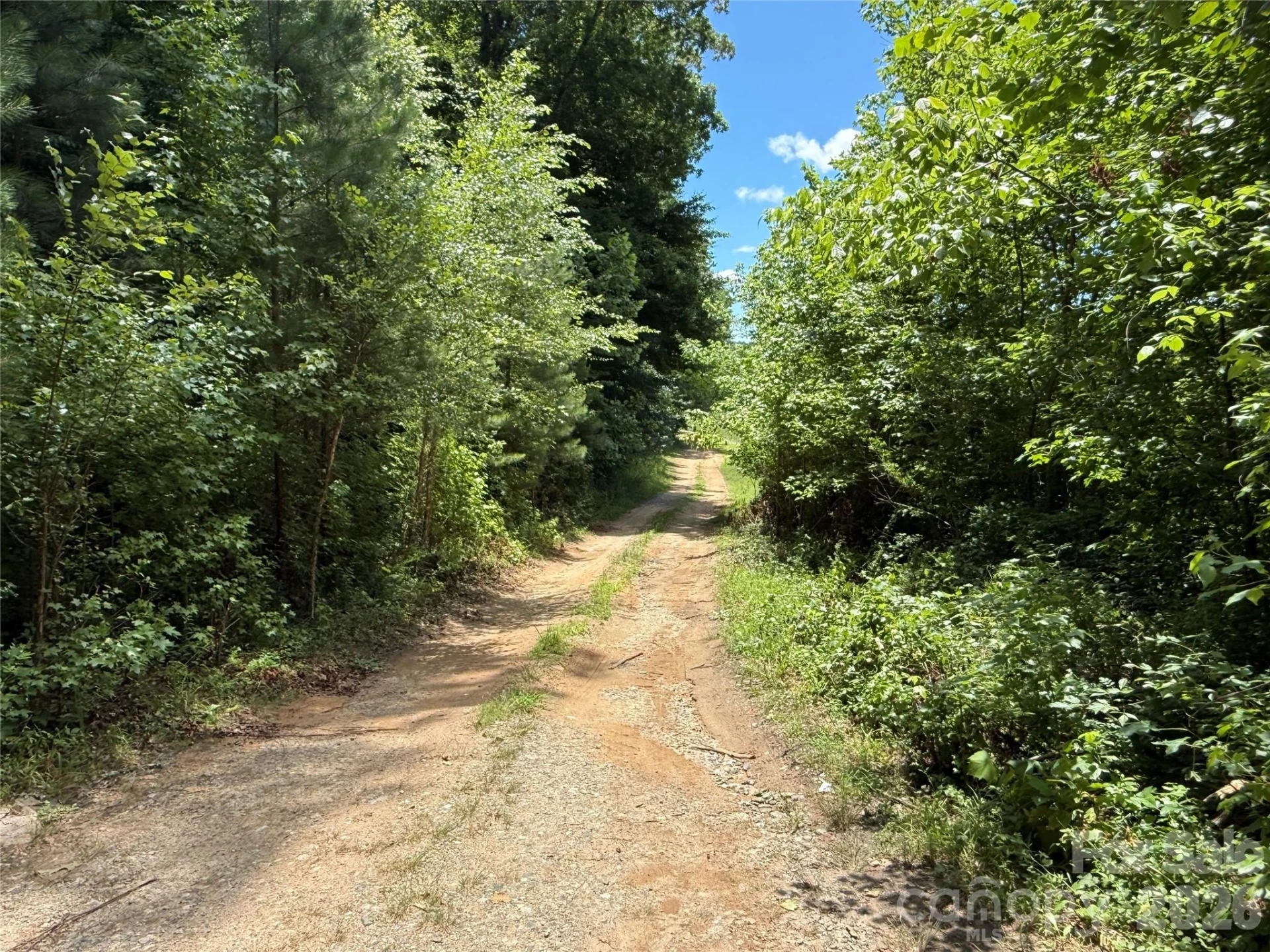 99999 Tryon Road - Photo 7