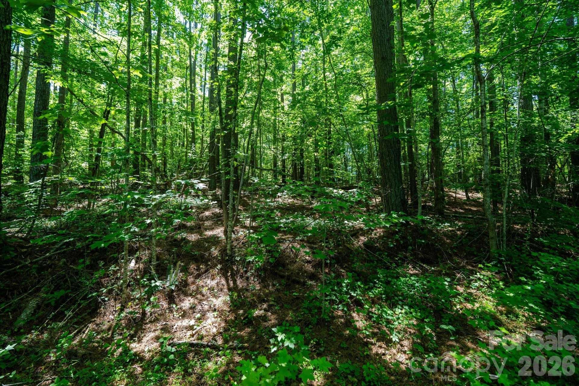 99999 Tryon Road - Photo 8