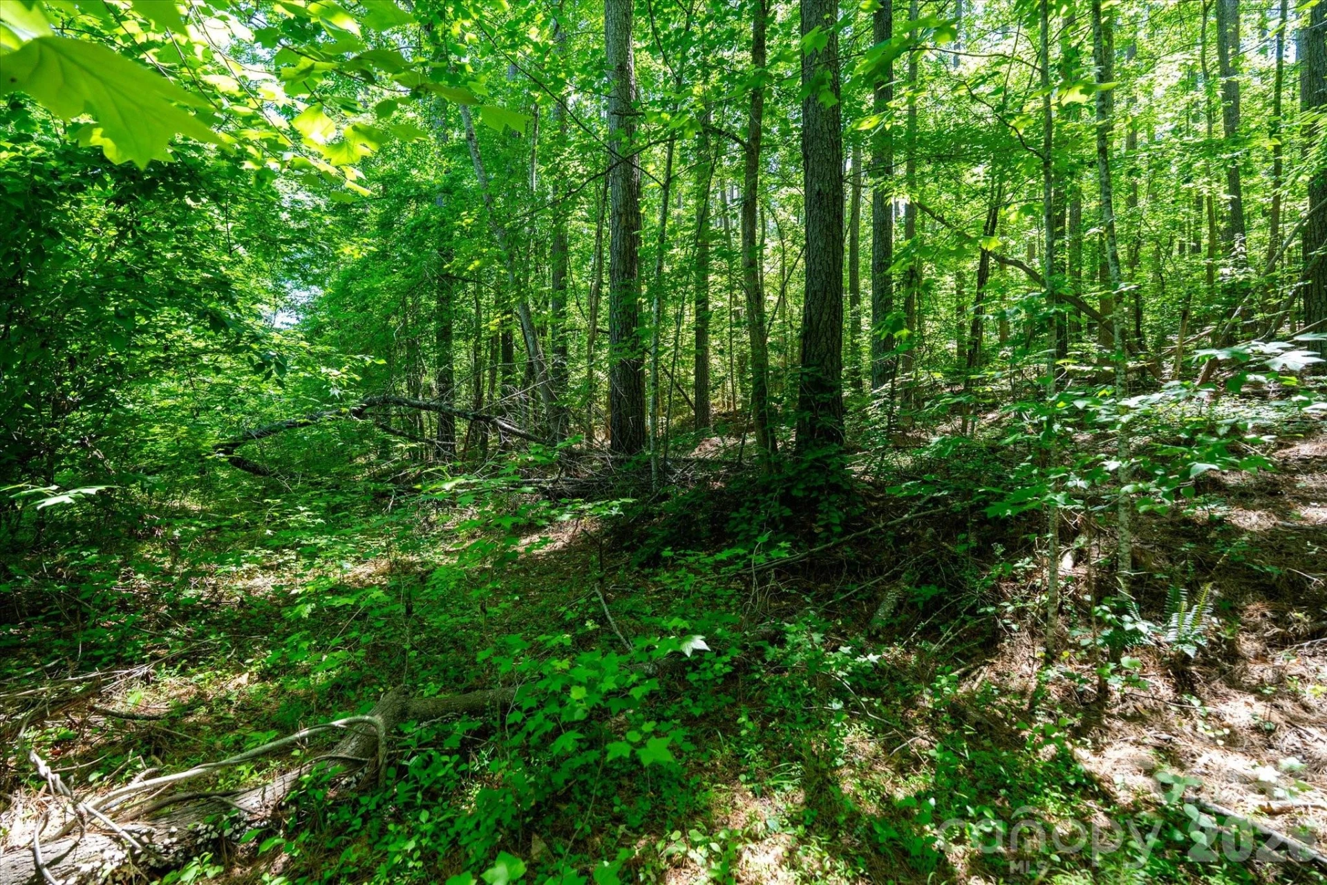 99999 Tryon Road - Photo 9
