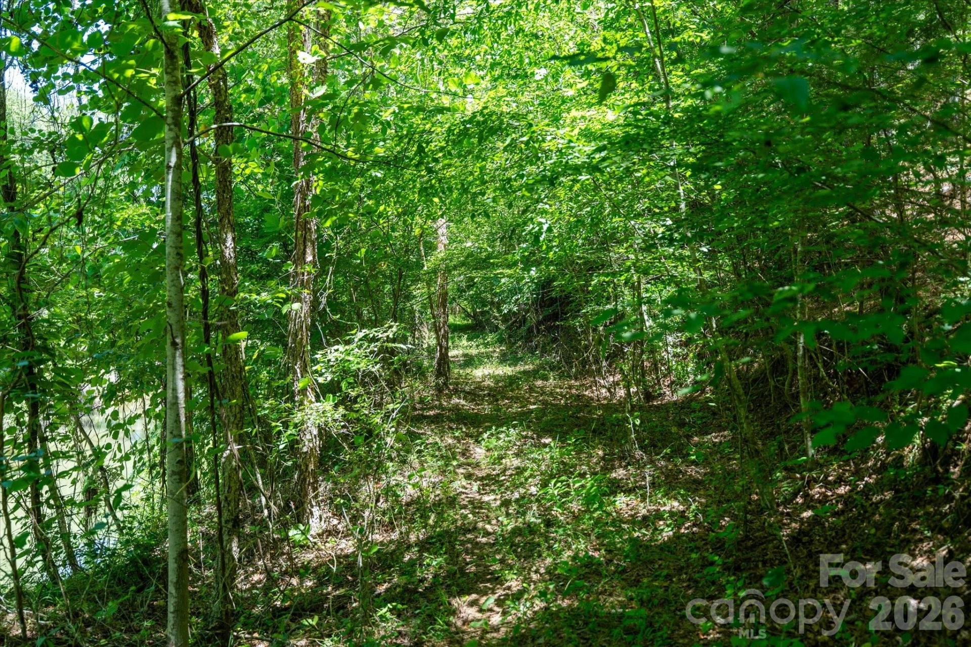 99999 Thompson Lake Road - Photo 13