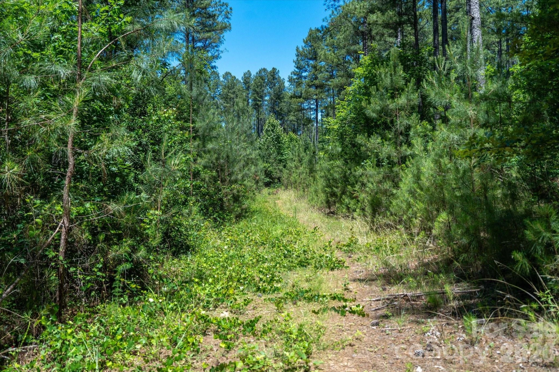 99999 Thompson Lake Road - Photo 14
