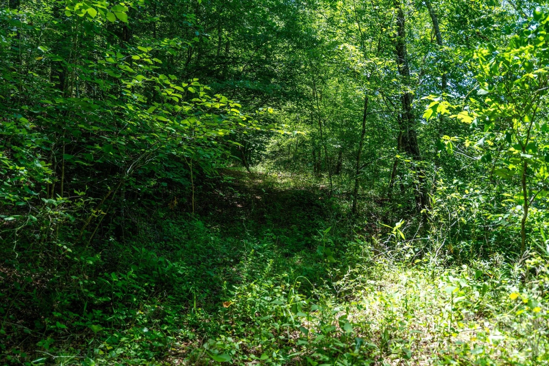 99999 Thompson Lake Road - Photo 16