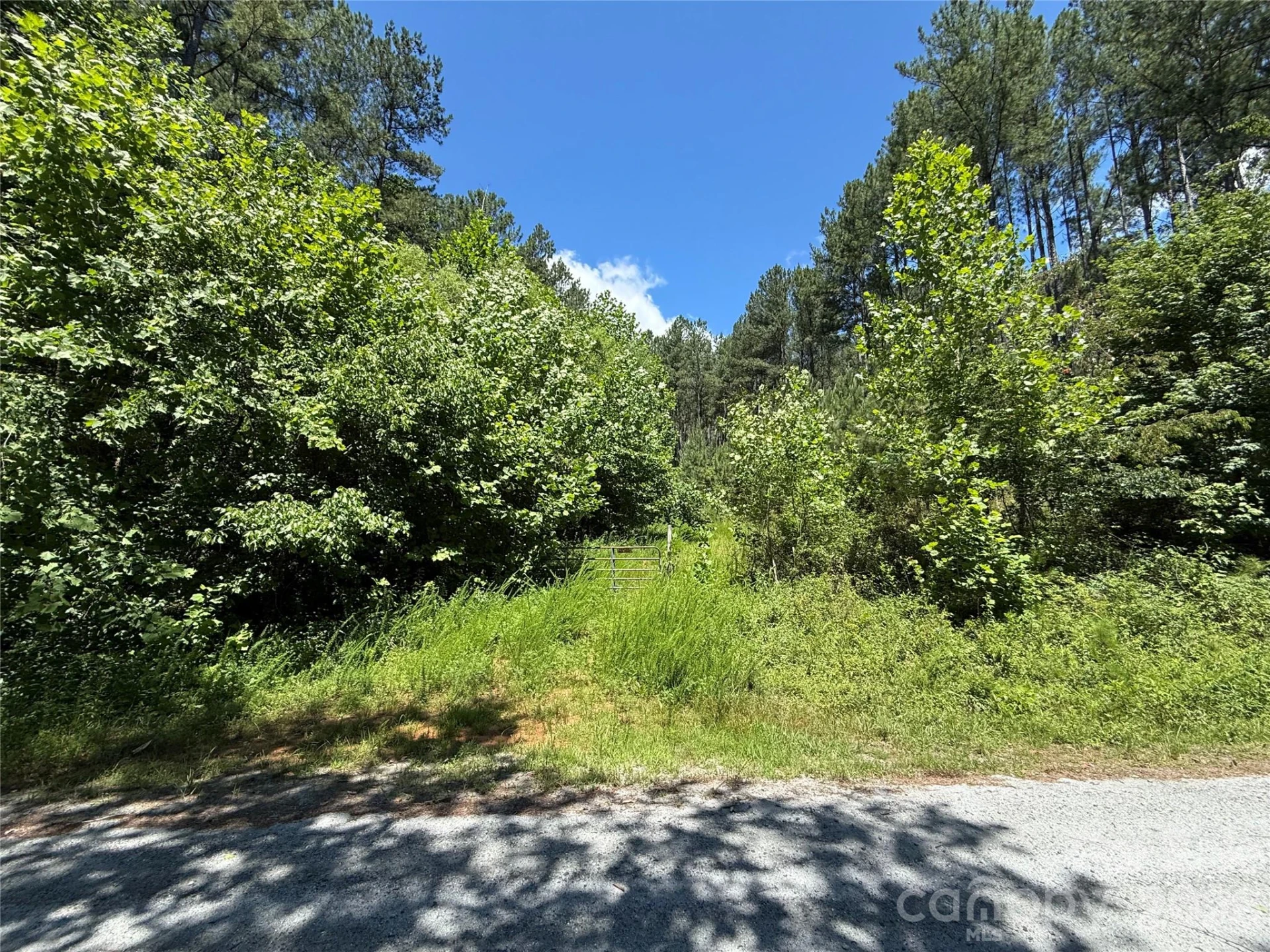 99999 Thompson Lake Road - Photo 8