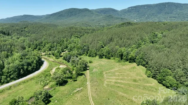 1194 Palmer Road, Mill Spring, NC, 28756