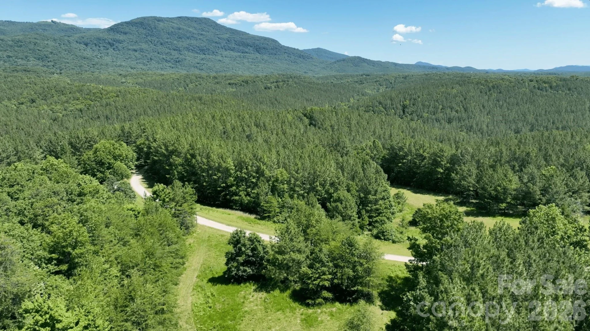1194 Palmer Road - Photo 11
