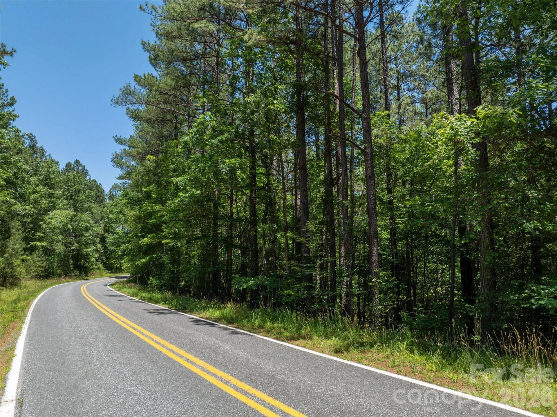 9999 Clark Road - Photo 2