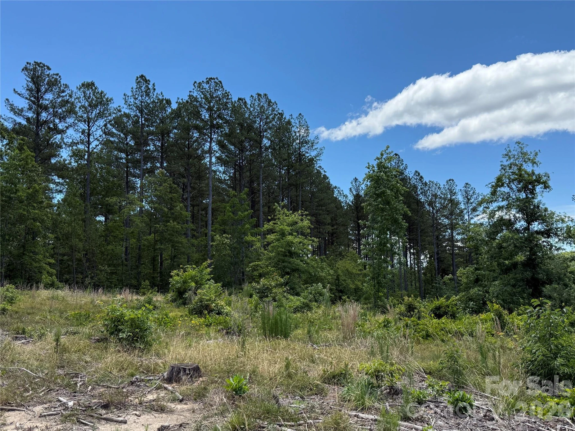 9999 Clark Road - Photo 14