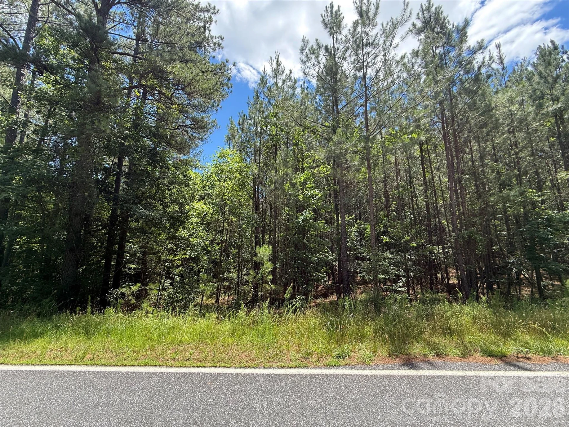 9999 Clark Road - Photo 4