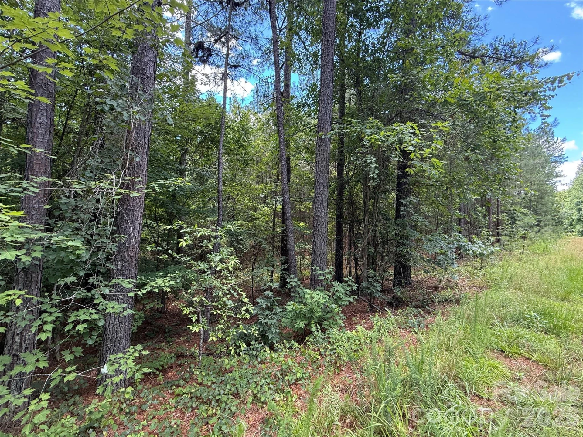 9999 Clark Road - Photo 5