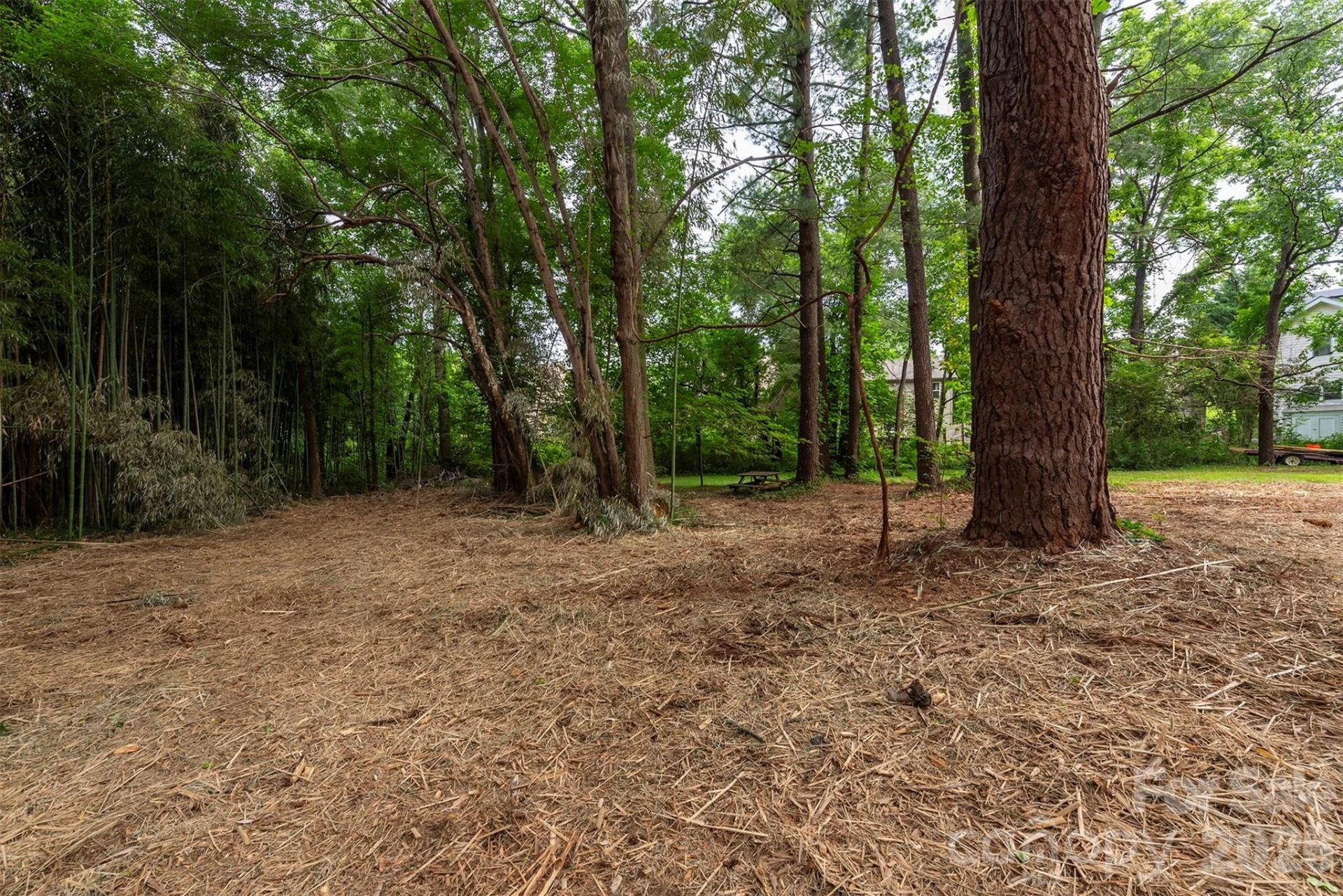 215 Merchant Street #2 - Photo 29