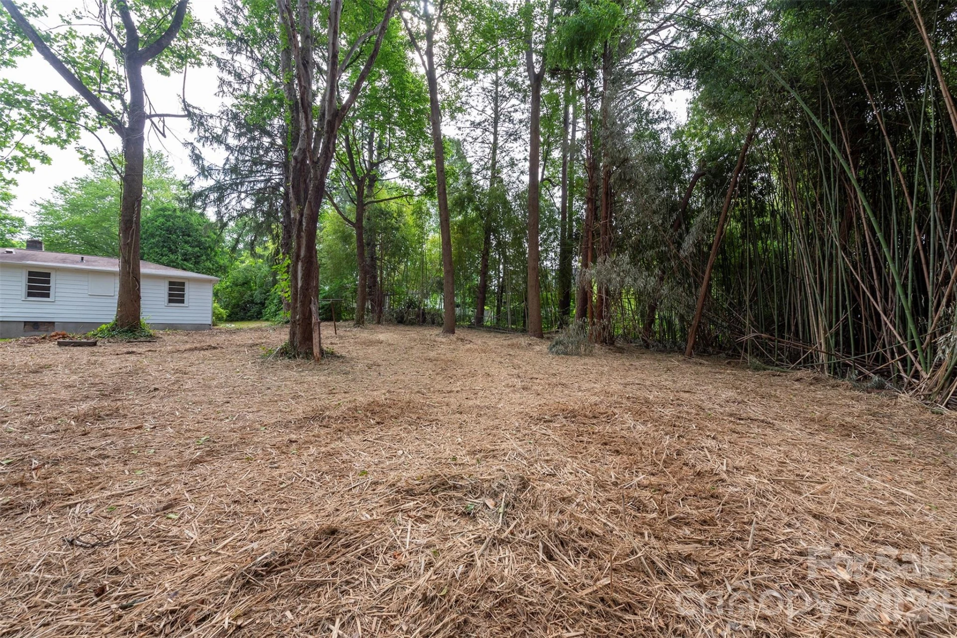 215 Merchant Street #2 - Photo 35