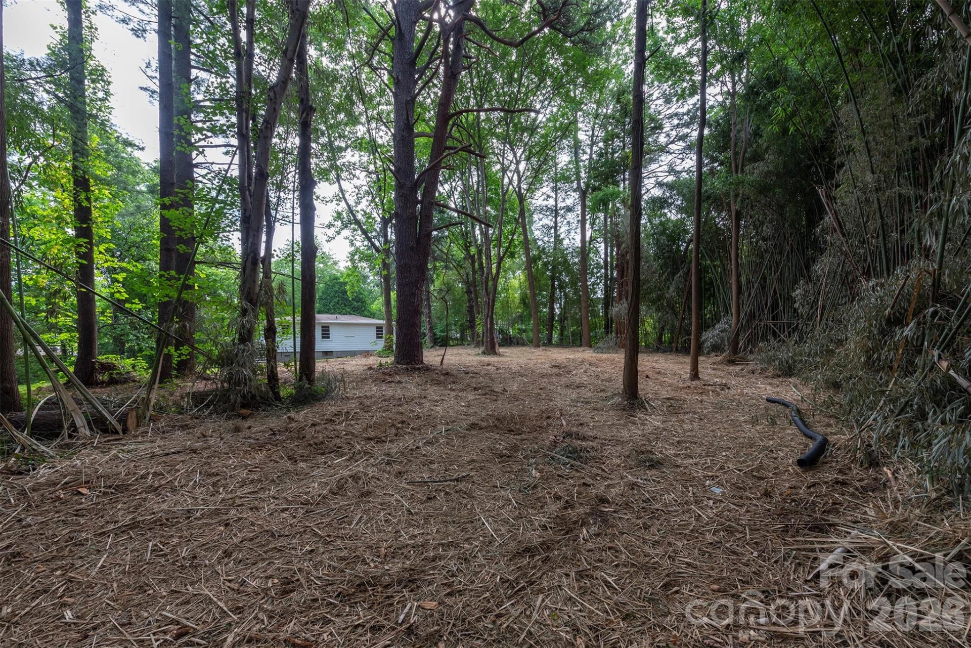 215 Merchant Street #2 - Photo 36
