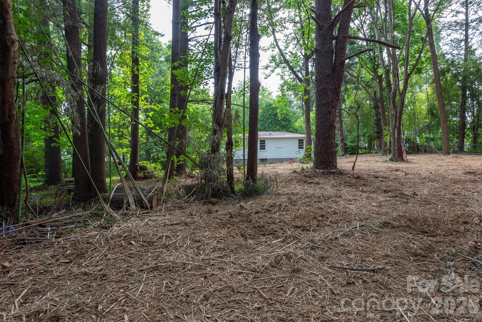 215 Merchant Street #2 - Photo 7