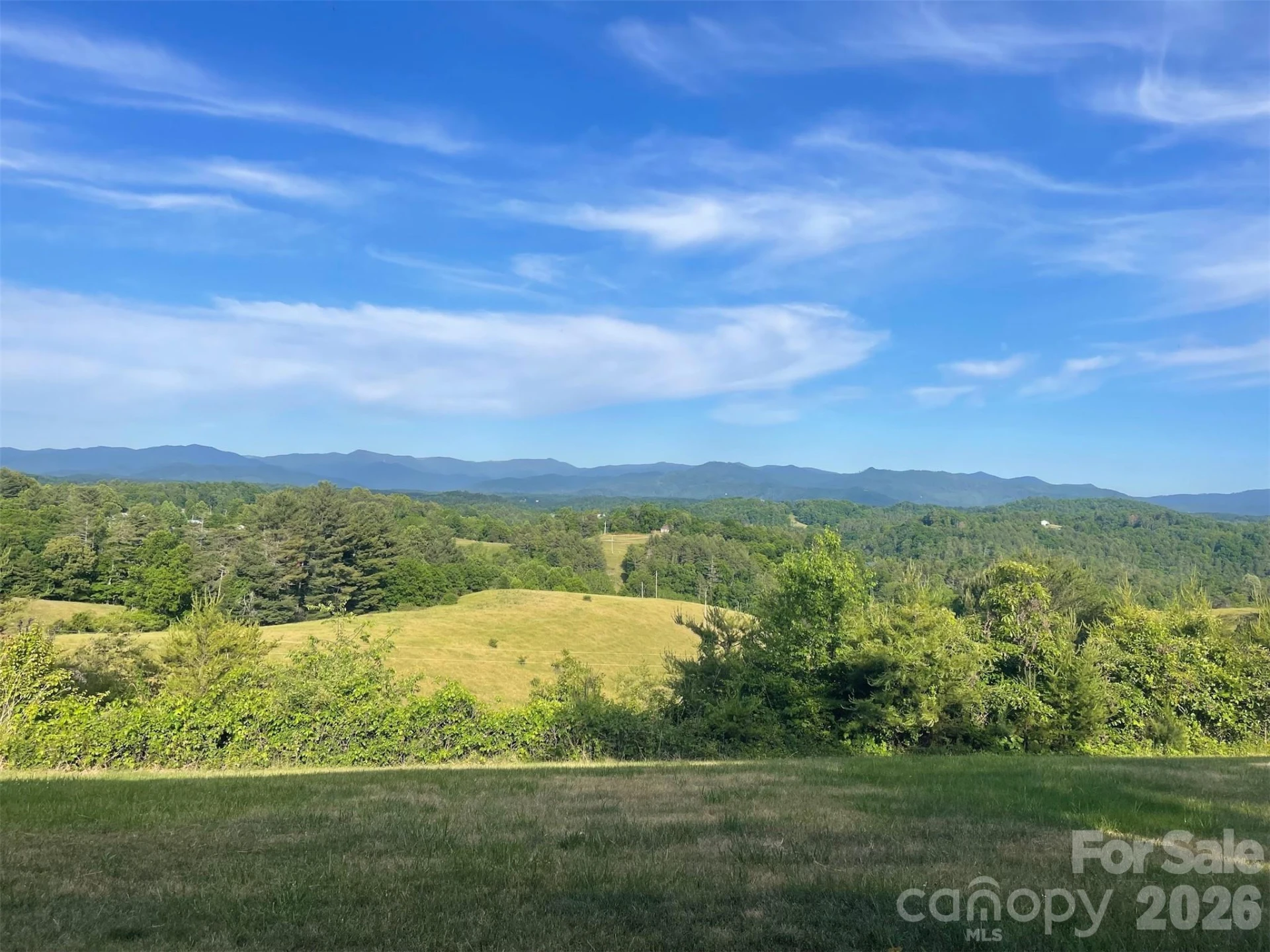 1091 WINDSWEPT RIDGE Road - Photo 5