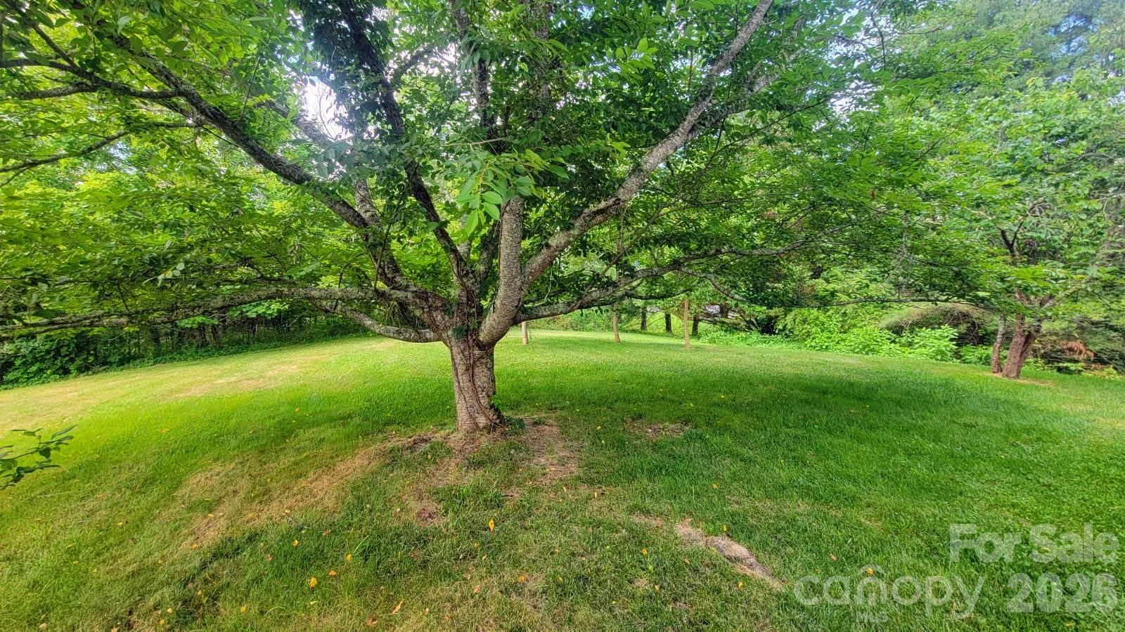 1091 WINDSWEPT RIDGE Road - Photo 41