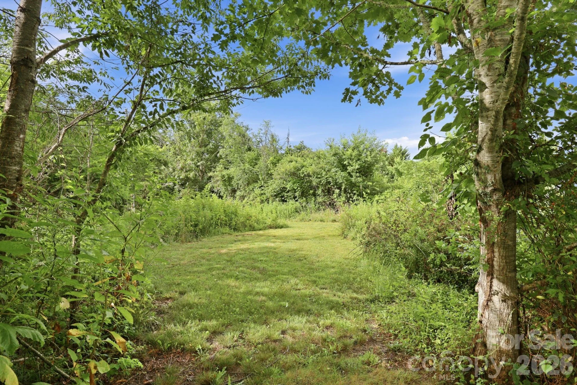 1091 WINDSWEPT RIDGE Road - Photo 42