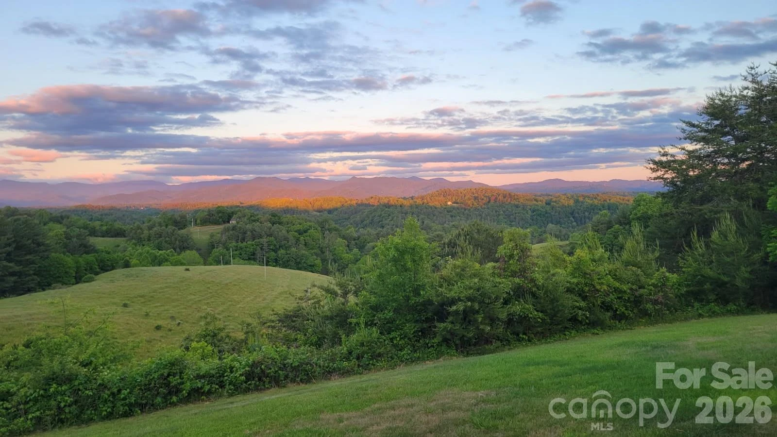 1091 WINDSWEPT RIDGE Road - Photo 6