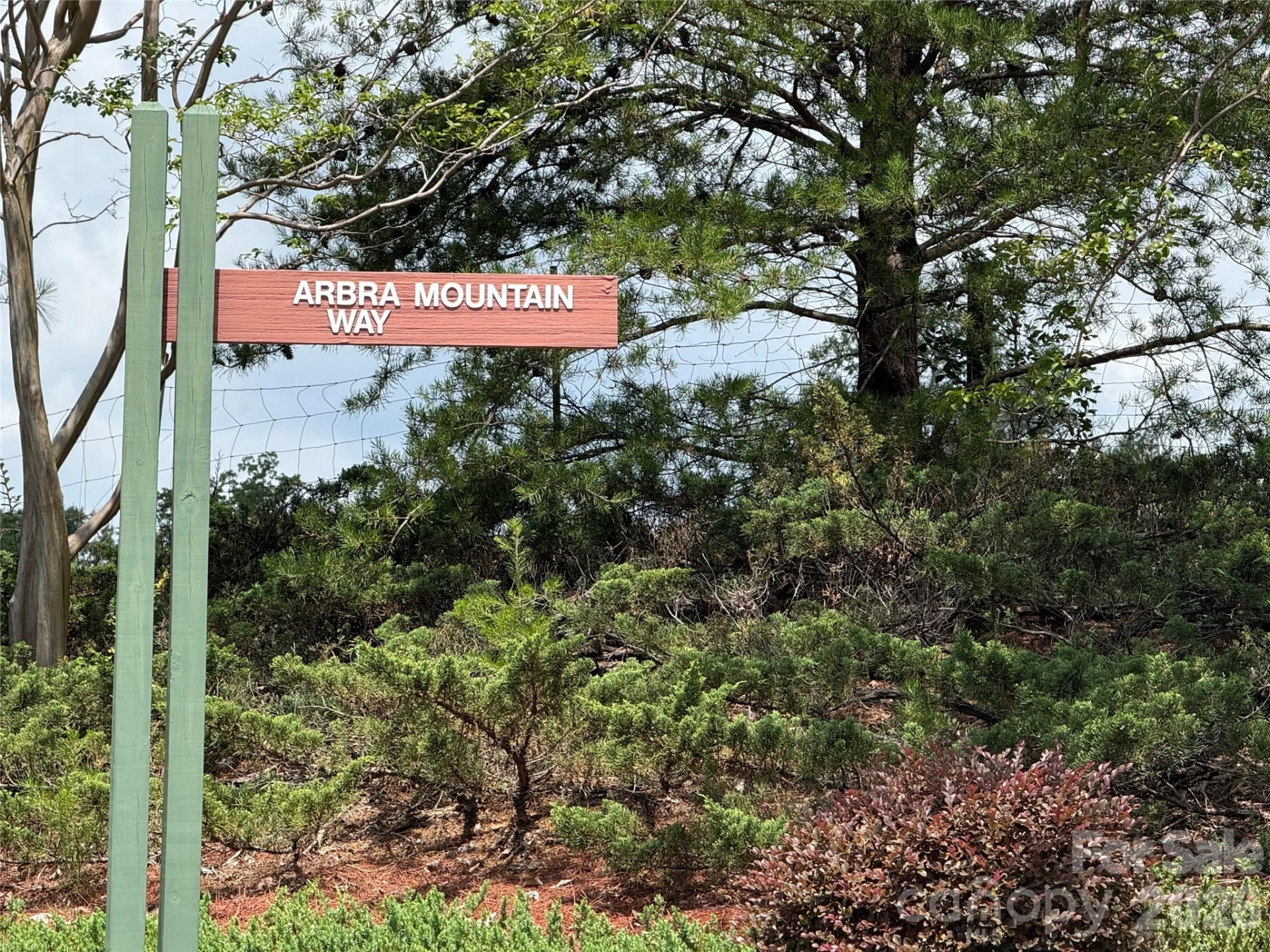 Lot 15 Arbra Mountain Way - Photo 2