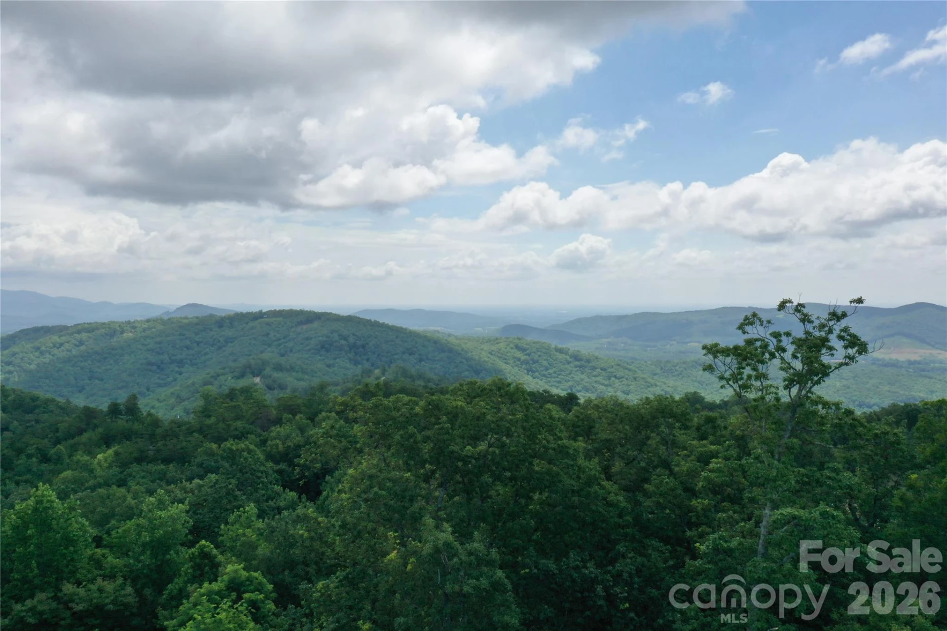 Lot 15 Arbra Mountain Way - Photo 11