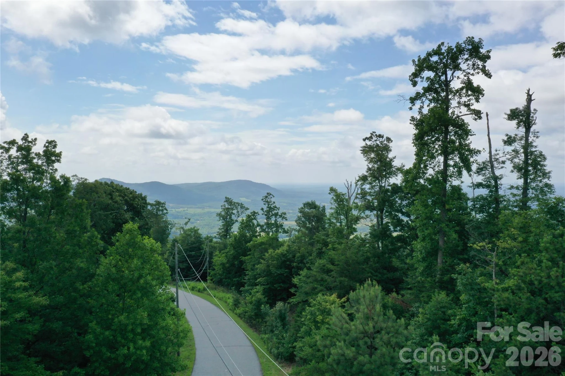 Lot 15 Arbra Mountain Way - Photo 12