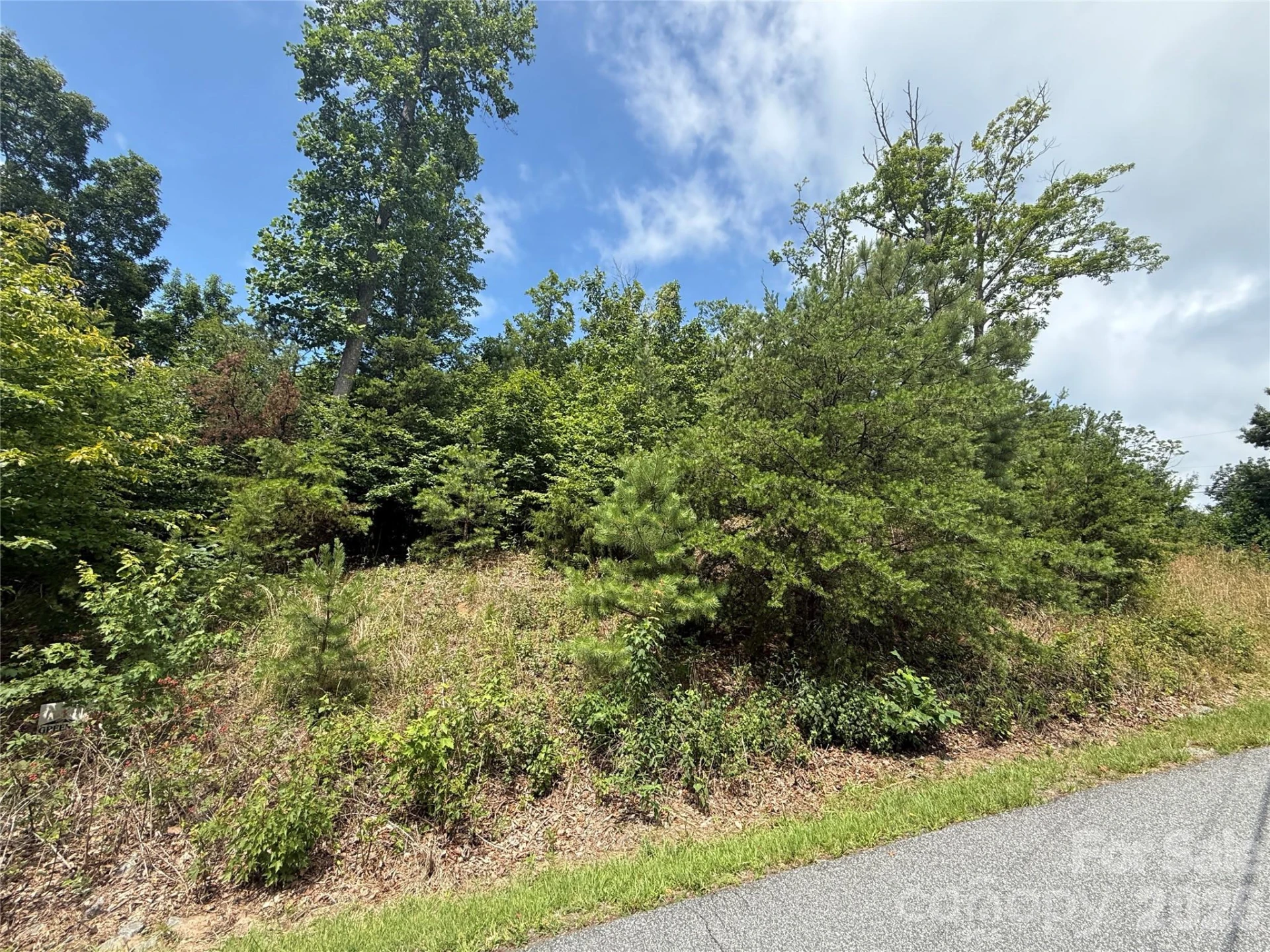 Lot 15 Arbra Mountain Way - Photo 4