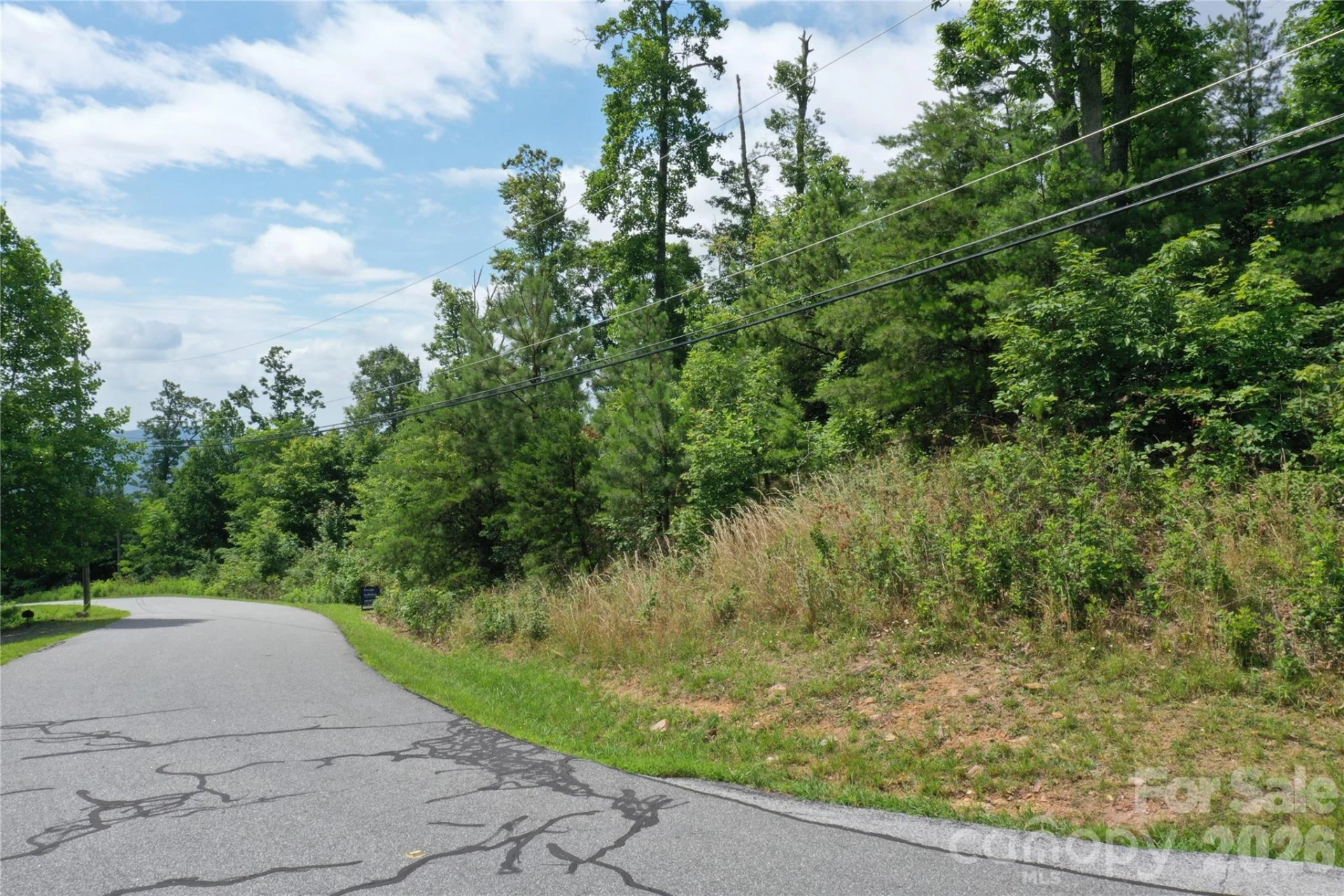 Lot 15 Arbra Mountain Way - Photo 5