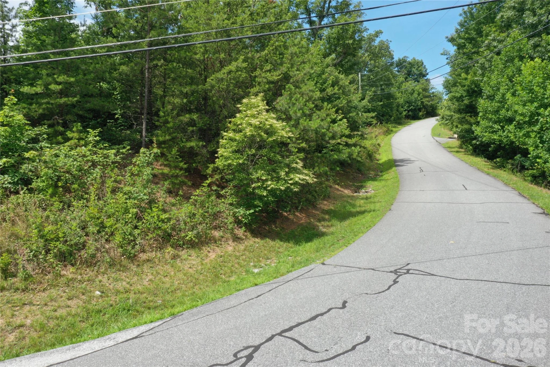 Lot 15 Arbra Mountain Way - Photo 6