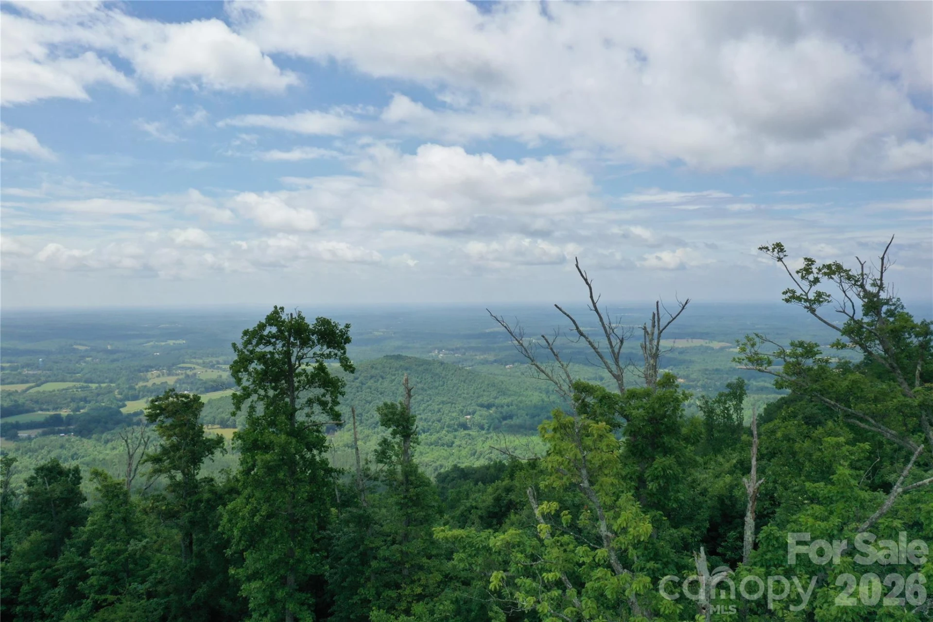 Lot 15 Arbra Mountain Way - Photo 8