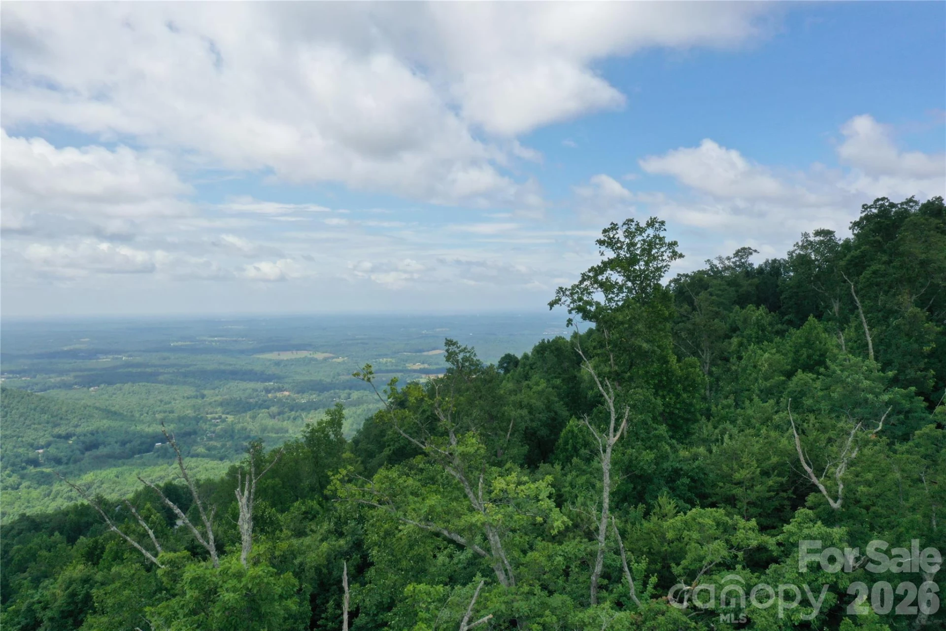 Lot 15 Arbra Mountain Way - Photo 9