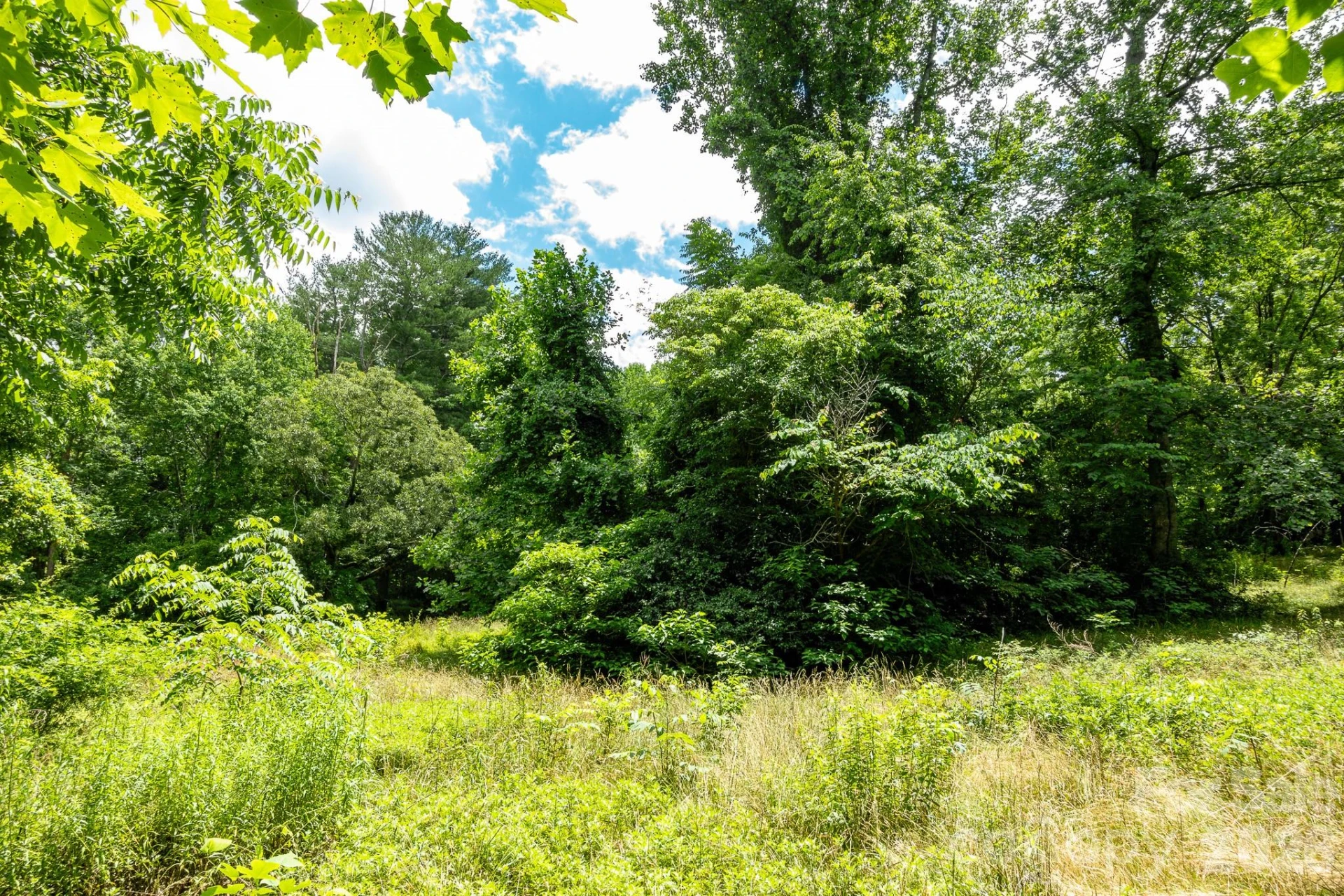 82 Englewood Drive - Photo 13
