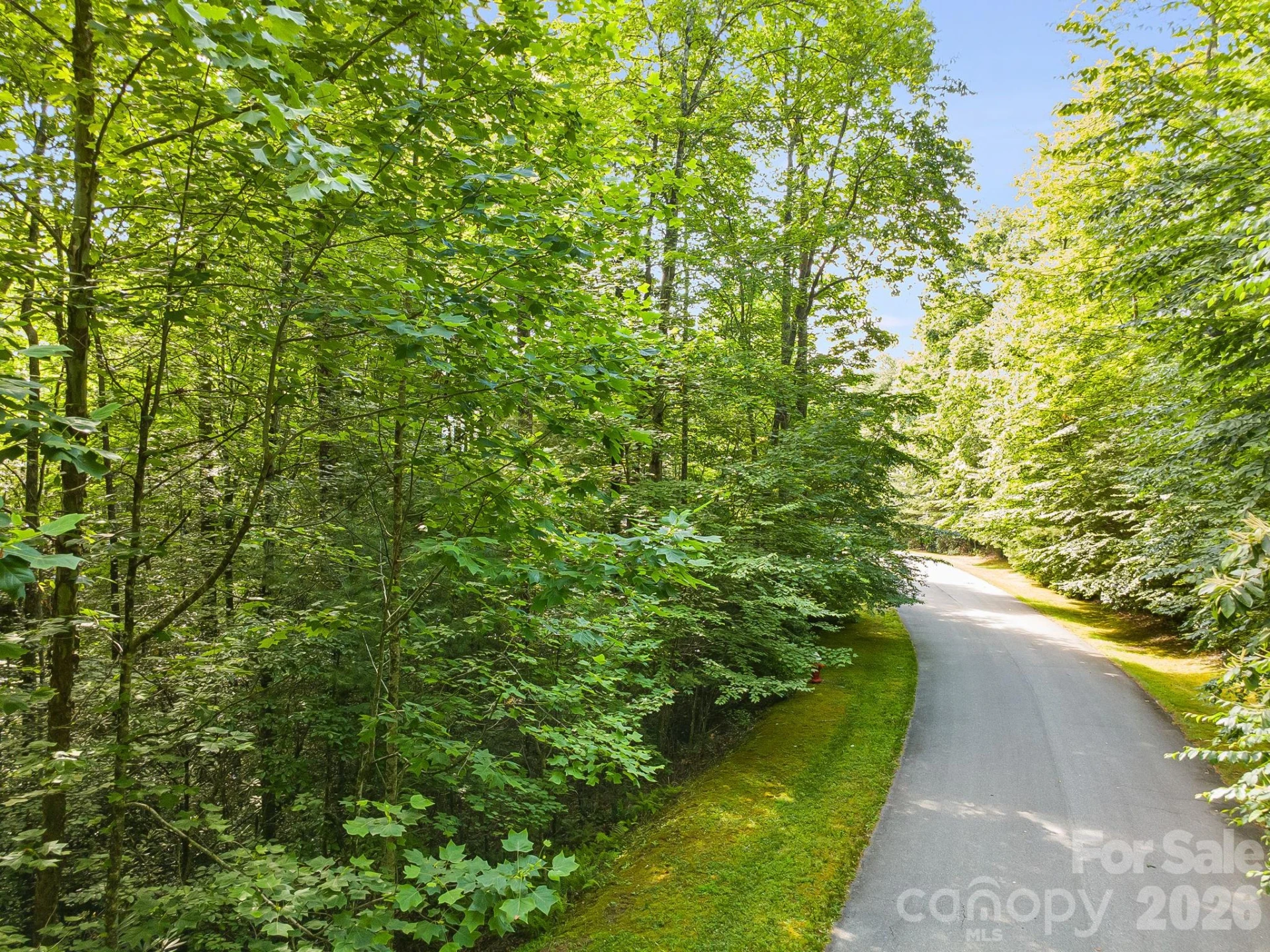 TBD Allison Creek Trail #A5 - Photo 15