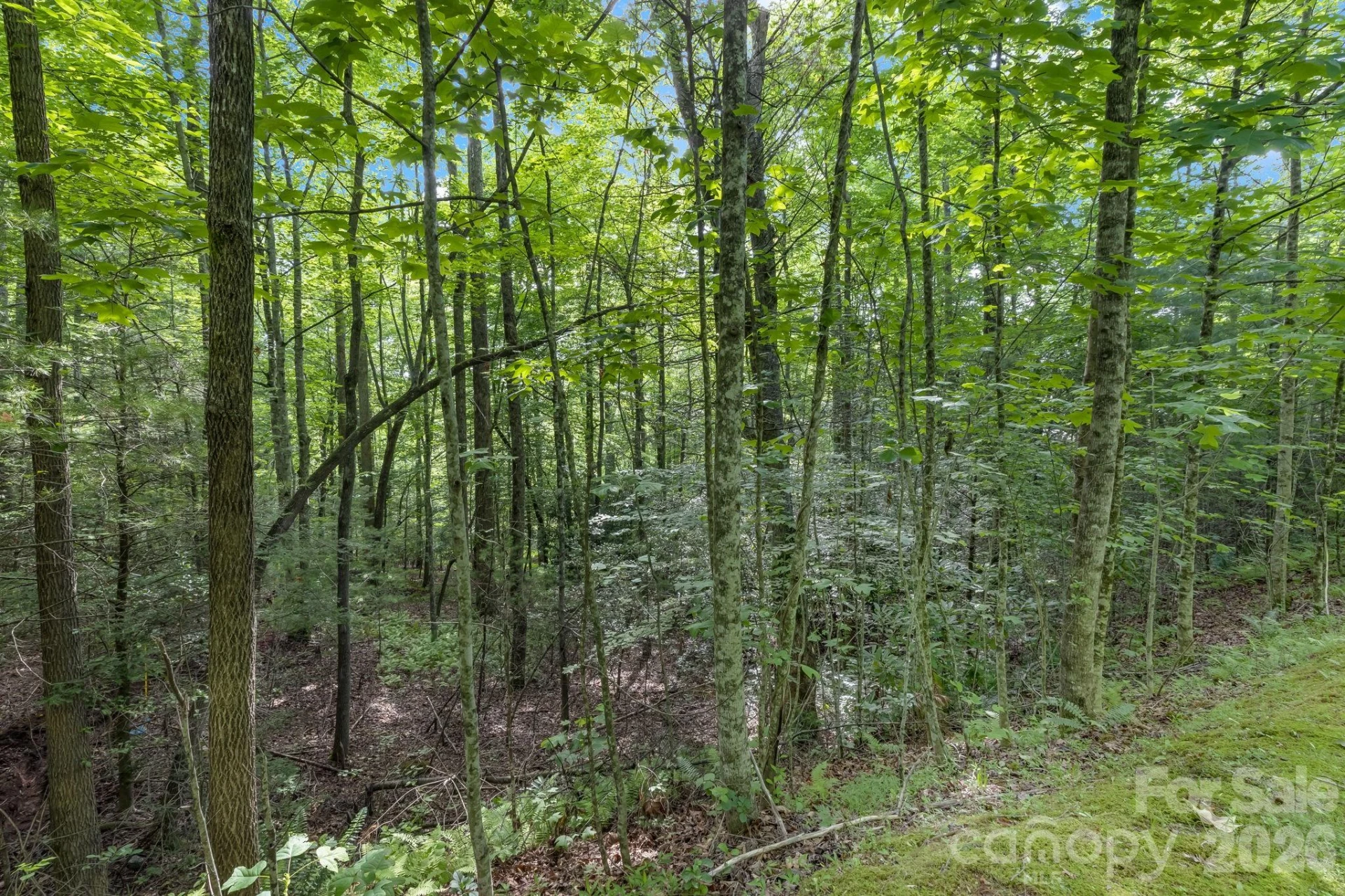TBD Allison Creek Trail #A5 - Photo 18