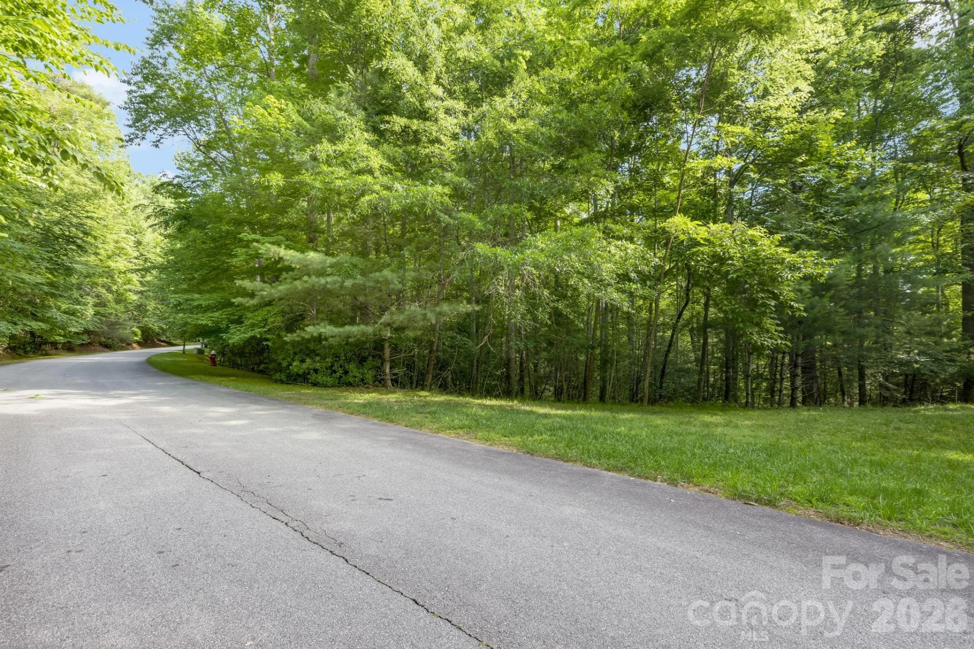 TBD Allison Creek Trail #A5 - Photo 19