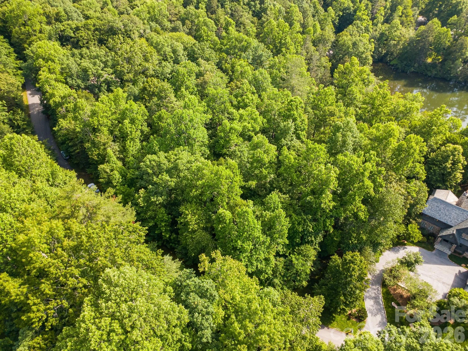 TBD Allison Creek Trail #A5 - Photo 5