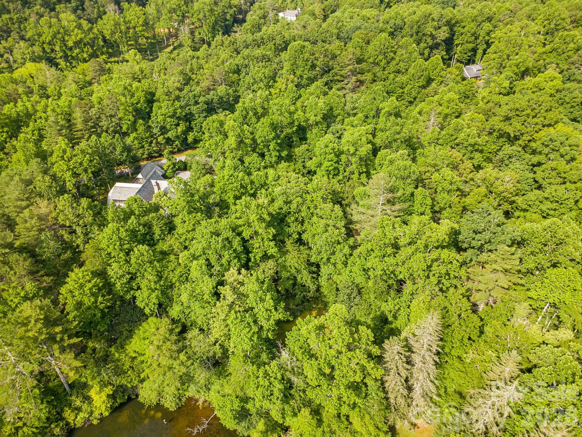 TBD Allison Creek Trail #A5 - Photo 9