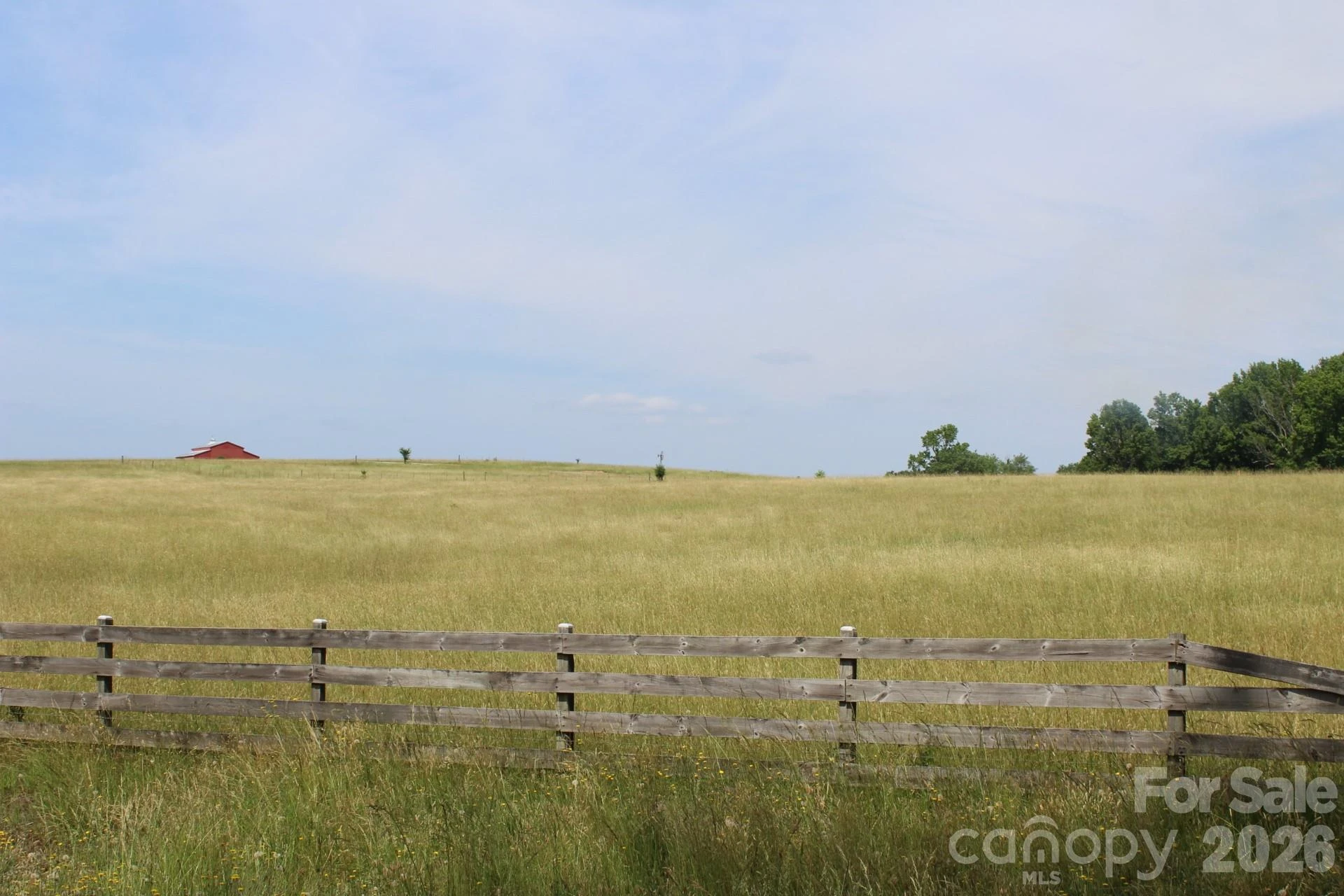 Lot 8 Ted Smith Road #8 - Photo 5