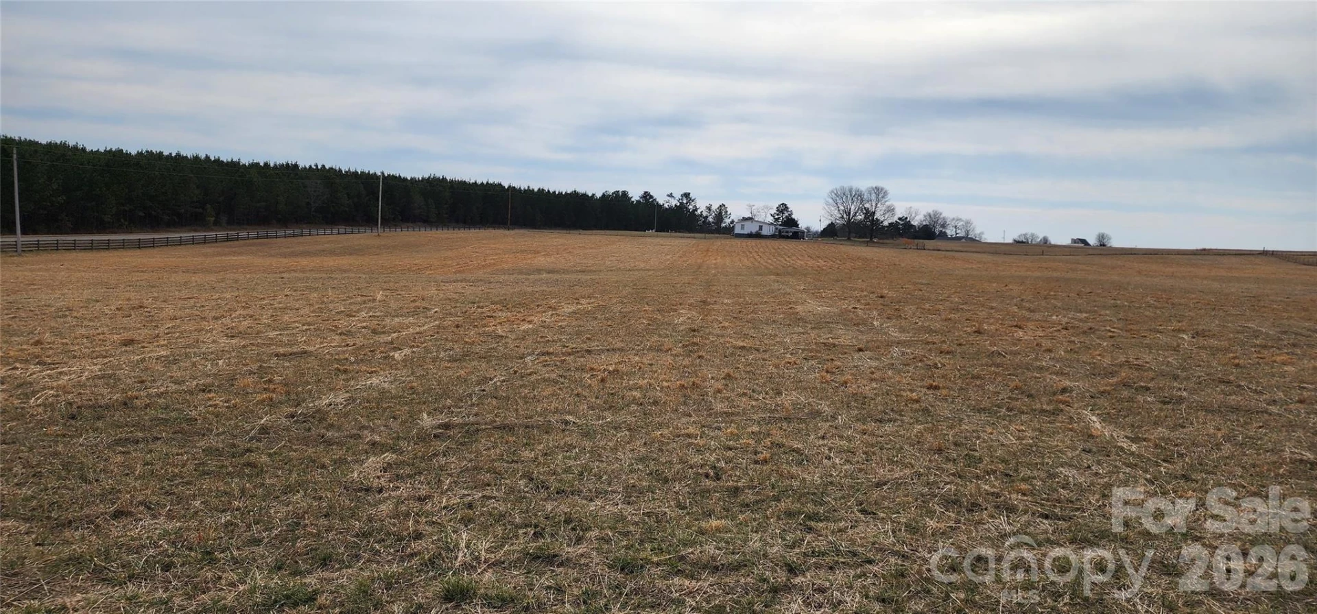 Lot 8 Ted Smith Road #8 - Photo 8
