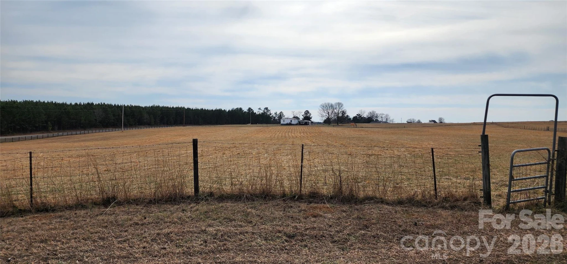 Lot 8 Ted Smith Road #8 - Photo 11