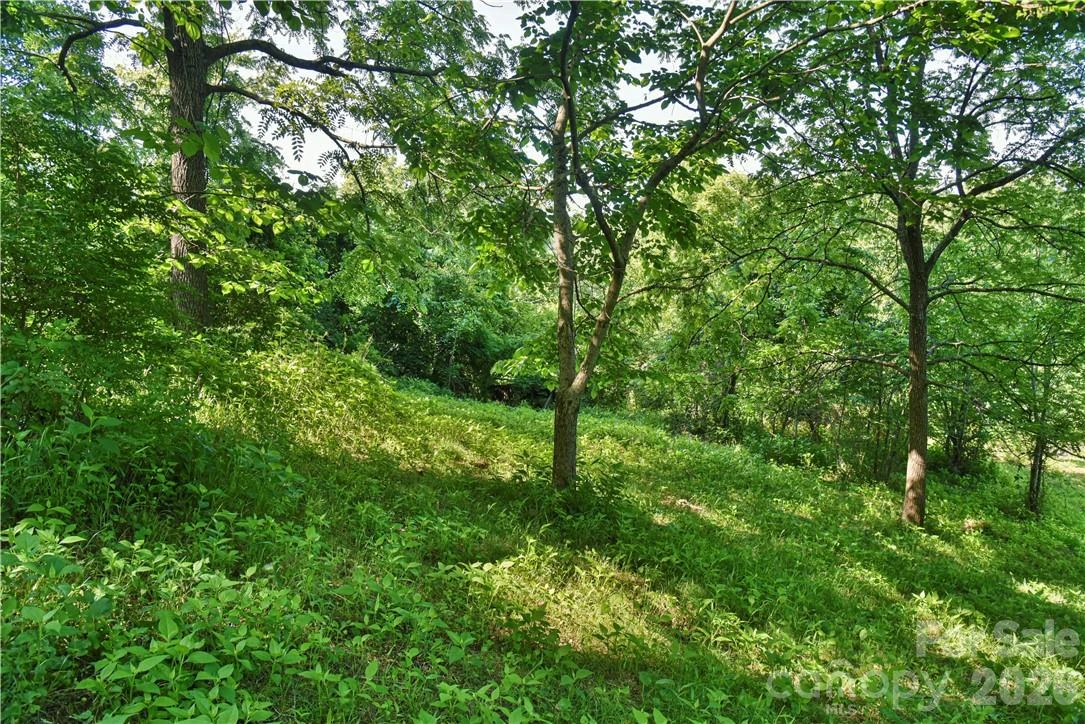 415 Weaverville Road - Photo 11