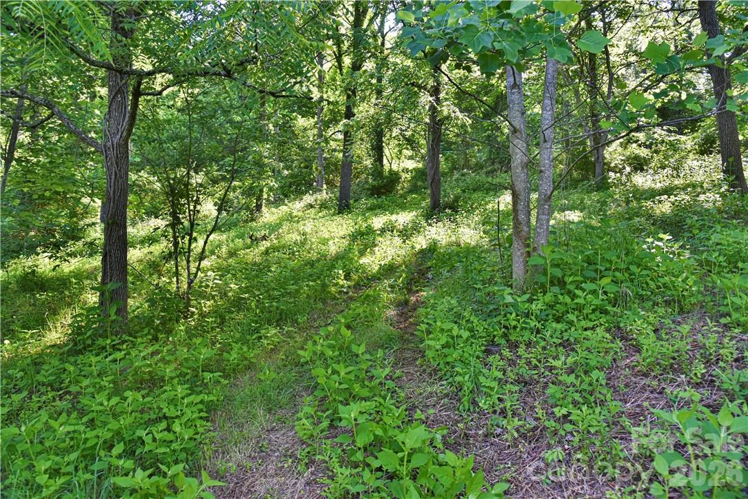 415 Weaverville Road - Photo 13