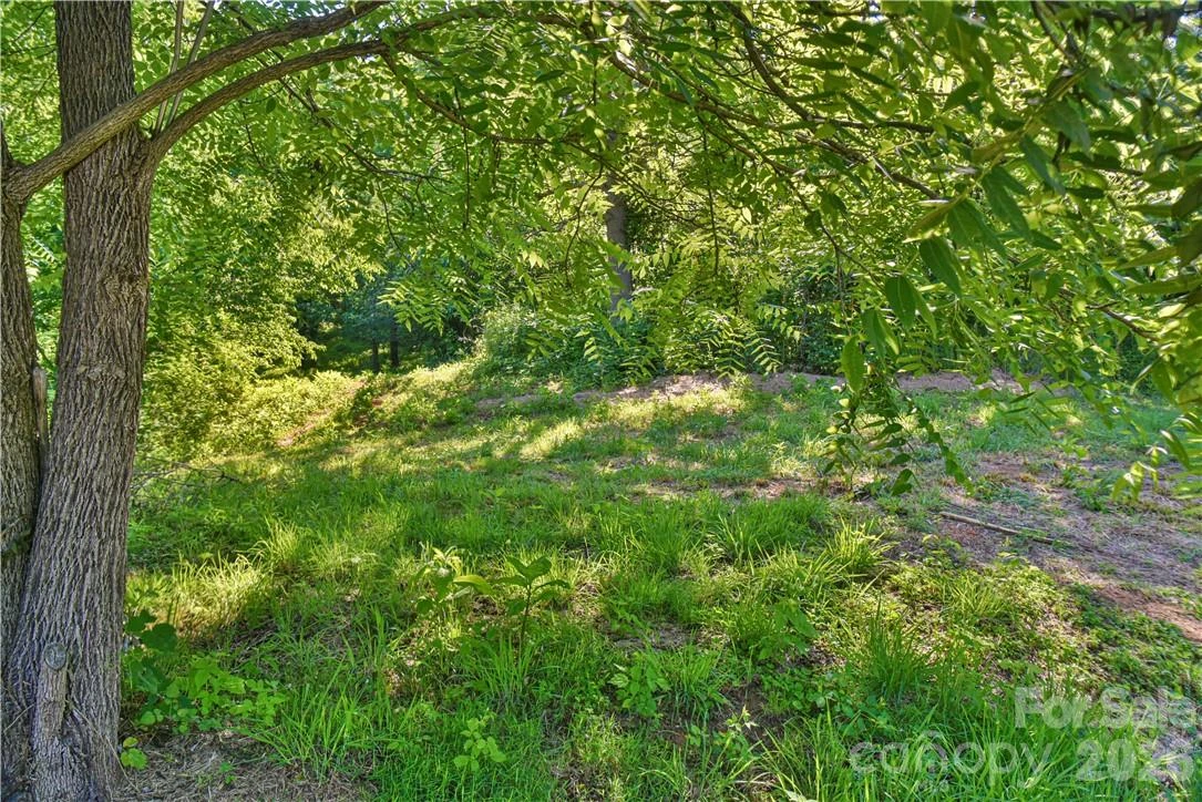 415 Weaverville Road - Photo 15