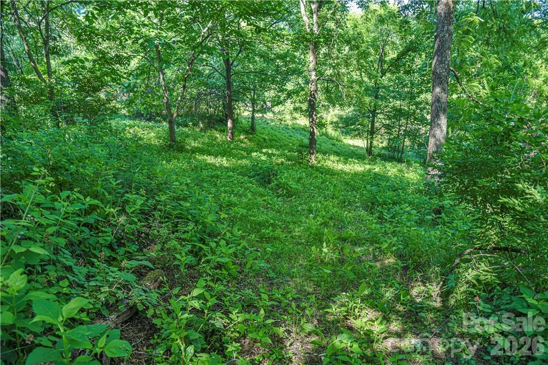 415 Weaverville Road - Photo 10