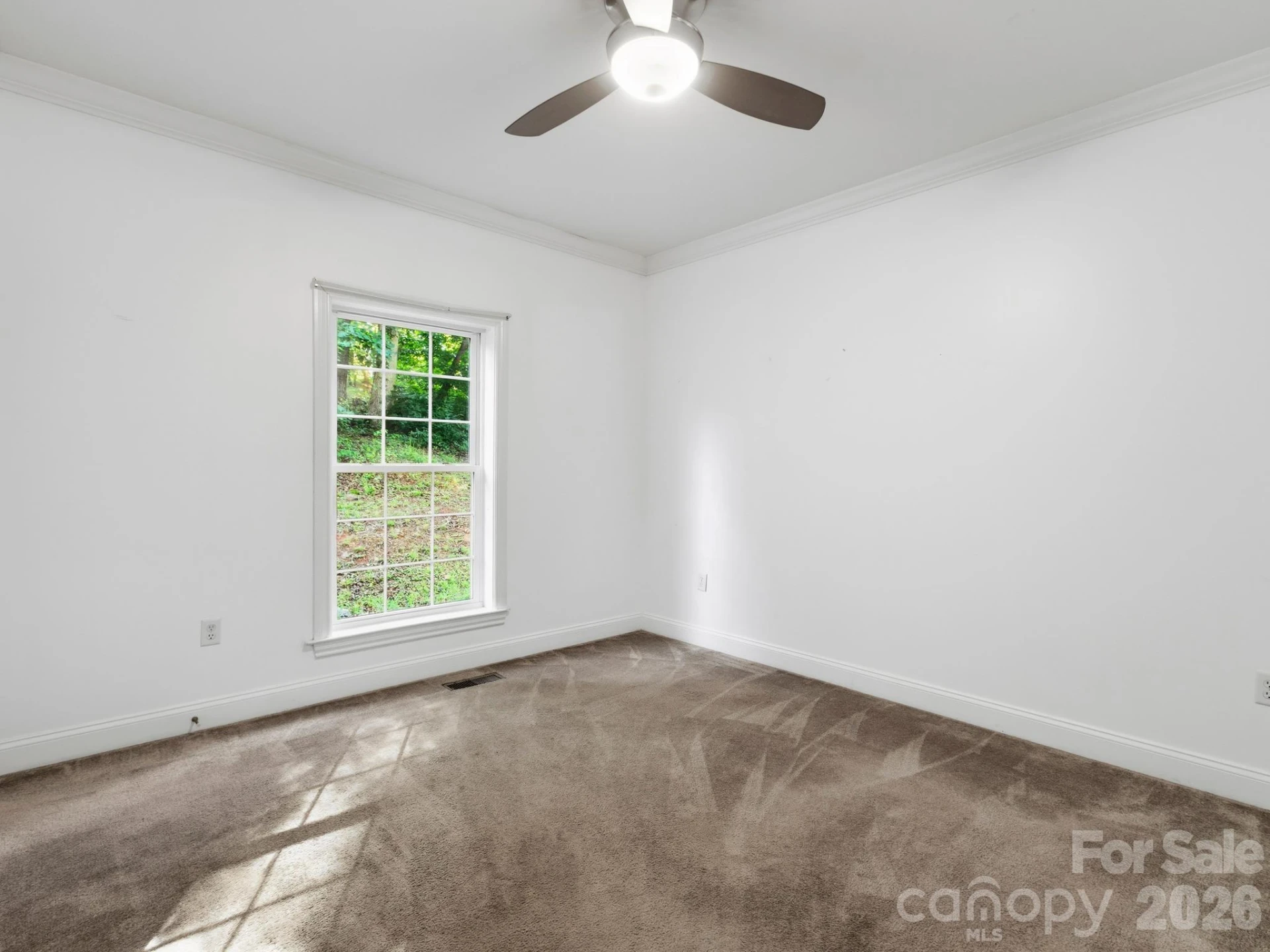 35 Cedar Farm Road - Photo 19
